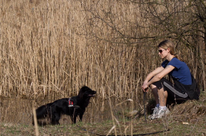 Heike Hörl Hundetraining Taucha bei Leipzig